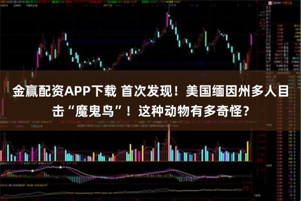 金赢配资APP下载 首次发现！美国缅因州多人目击“魔鬼鸟”！这种动物有多奇怪？