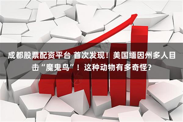 成都股票配资平台 首次发现！美国缅因州多人目击“魔鬼鸟”！这种动物有多奇怪？