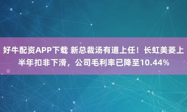 好牛配资APP下载 新总裁汤有道上任！长虹美菱上半年扣非下滑，公司毛利率已降至10.44%