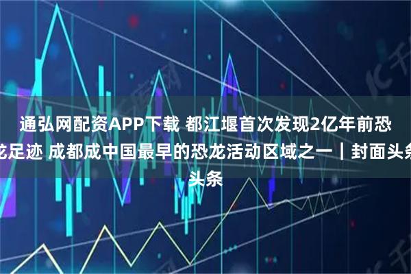 通弘网配资APP下载 都江堰首次发现2亿年前恐龙足迹 成都成中国最早的恐龙活动区域之一｜封面头条