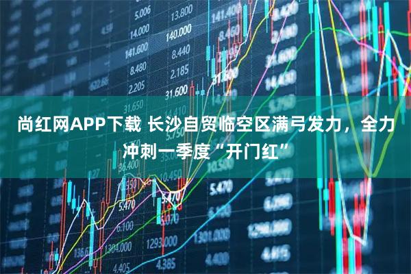 尚红网APP下载 长沙自贸临空区满弓发力，全力冲刺一季度“开门红”